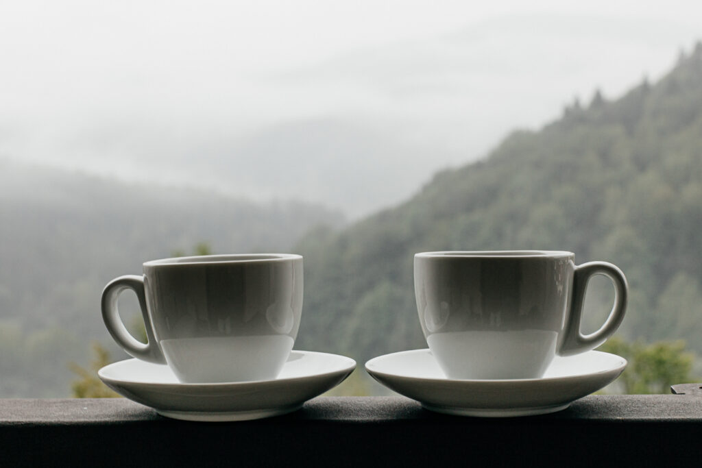 Ведмежа Гора