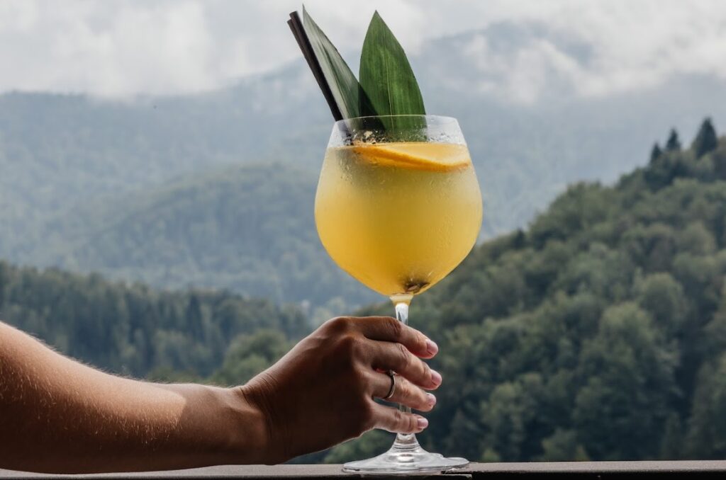 Ведмежа Гора