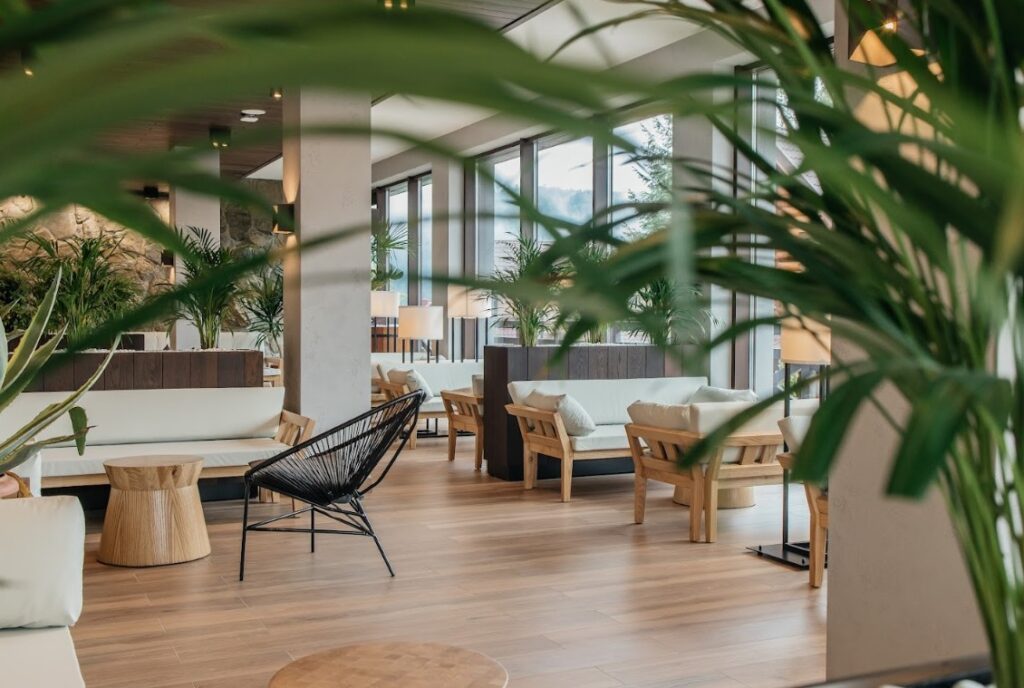 Ведмежа Гора