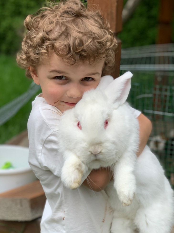 Ведмежа Гора