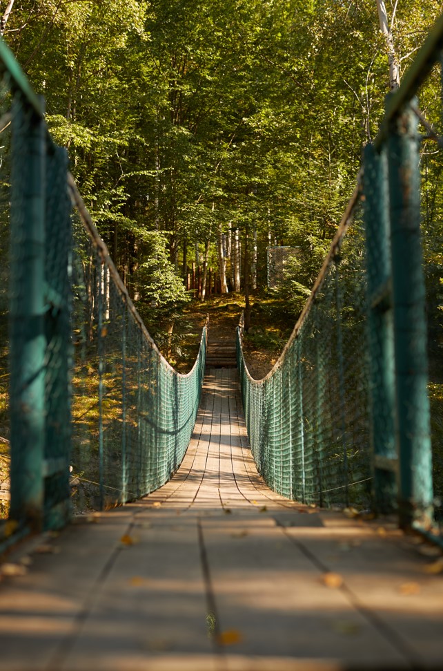 Ведмежа Гора