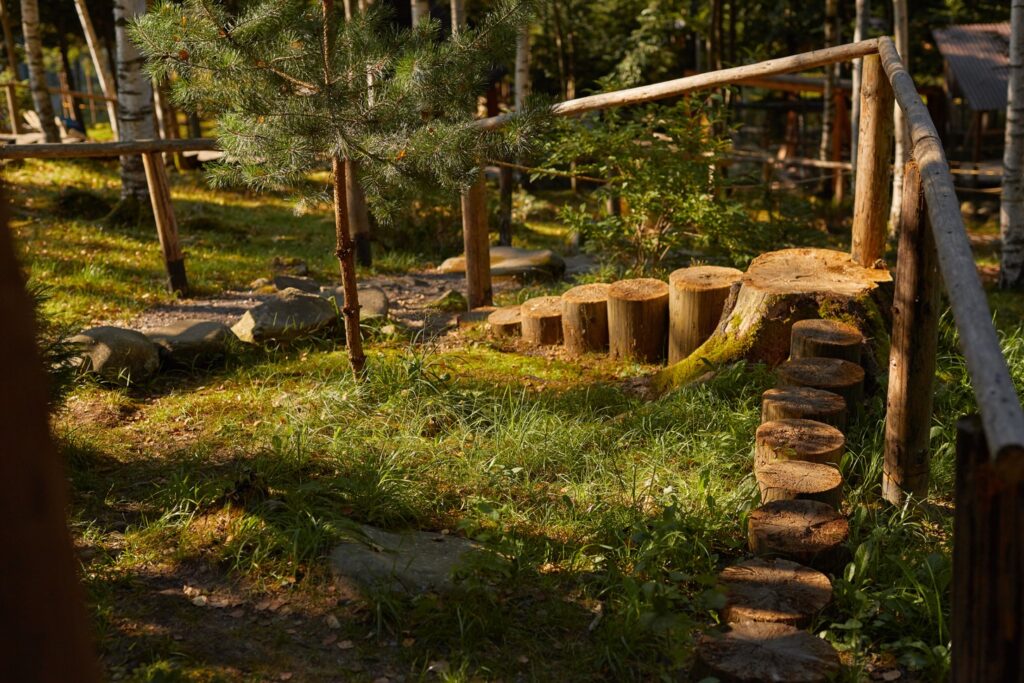 Ведмежа Гора